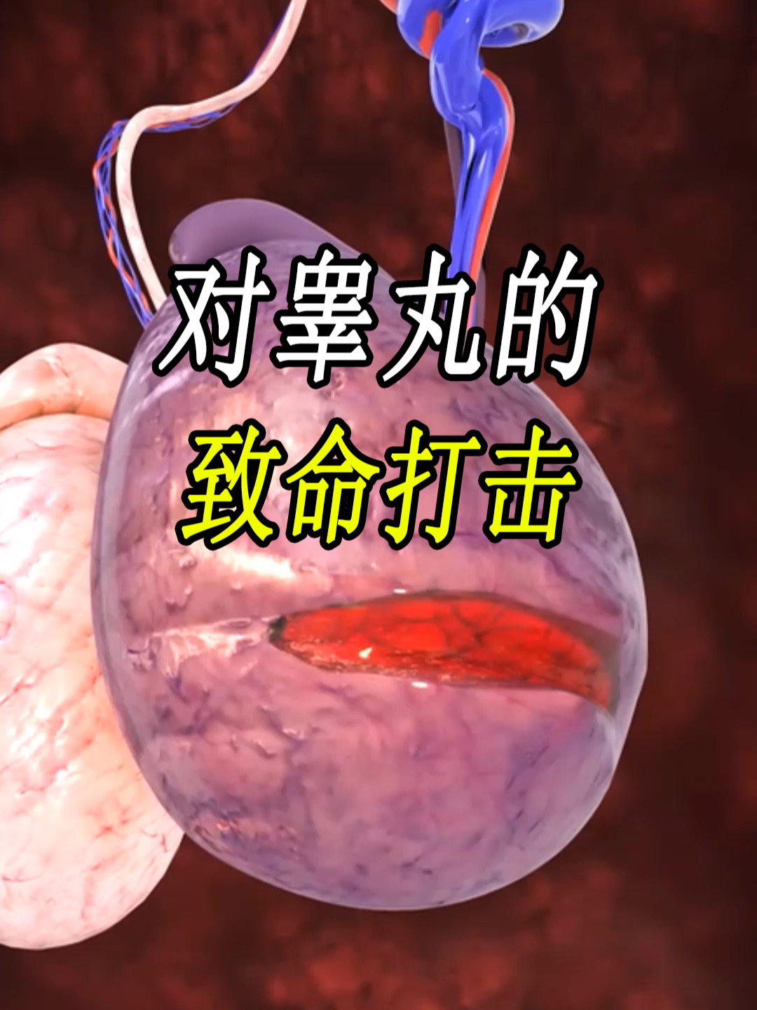 要闻聚焦 第641页