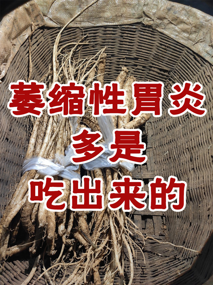 萎缩性胃炎怎么治疗好