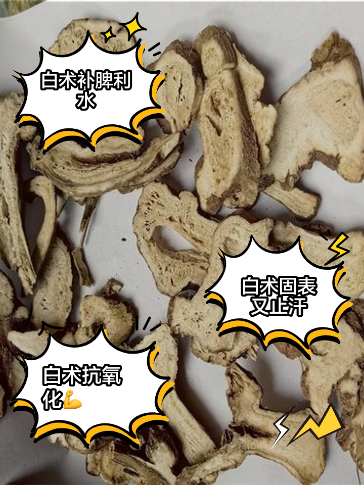 白术的作用与功效