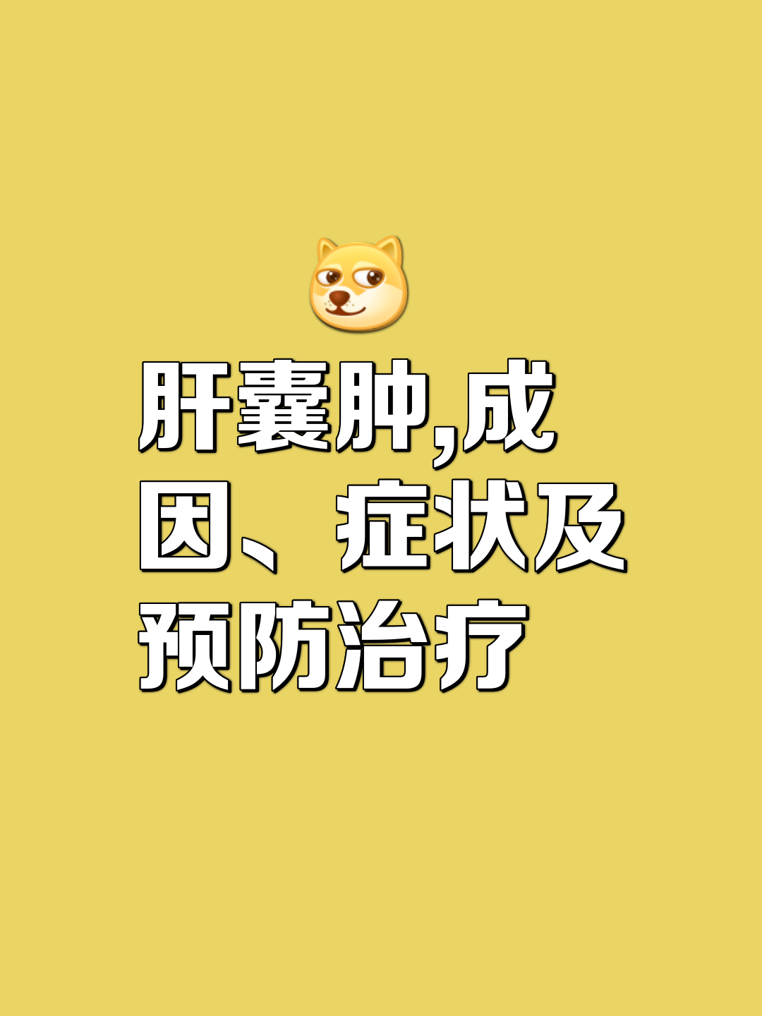 硕涵映 第3页