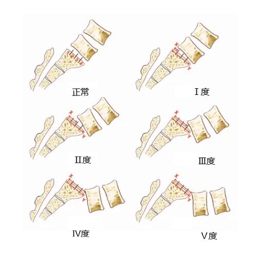喻理 第3页