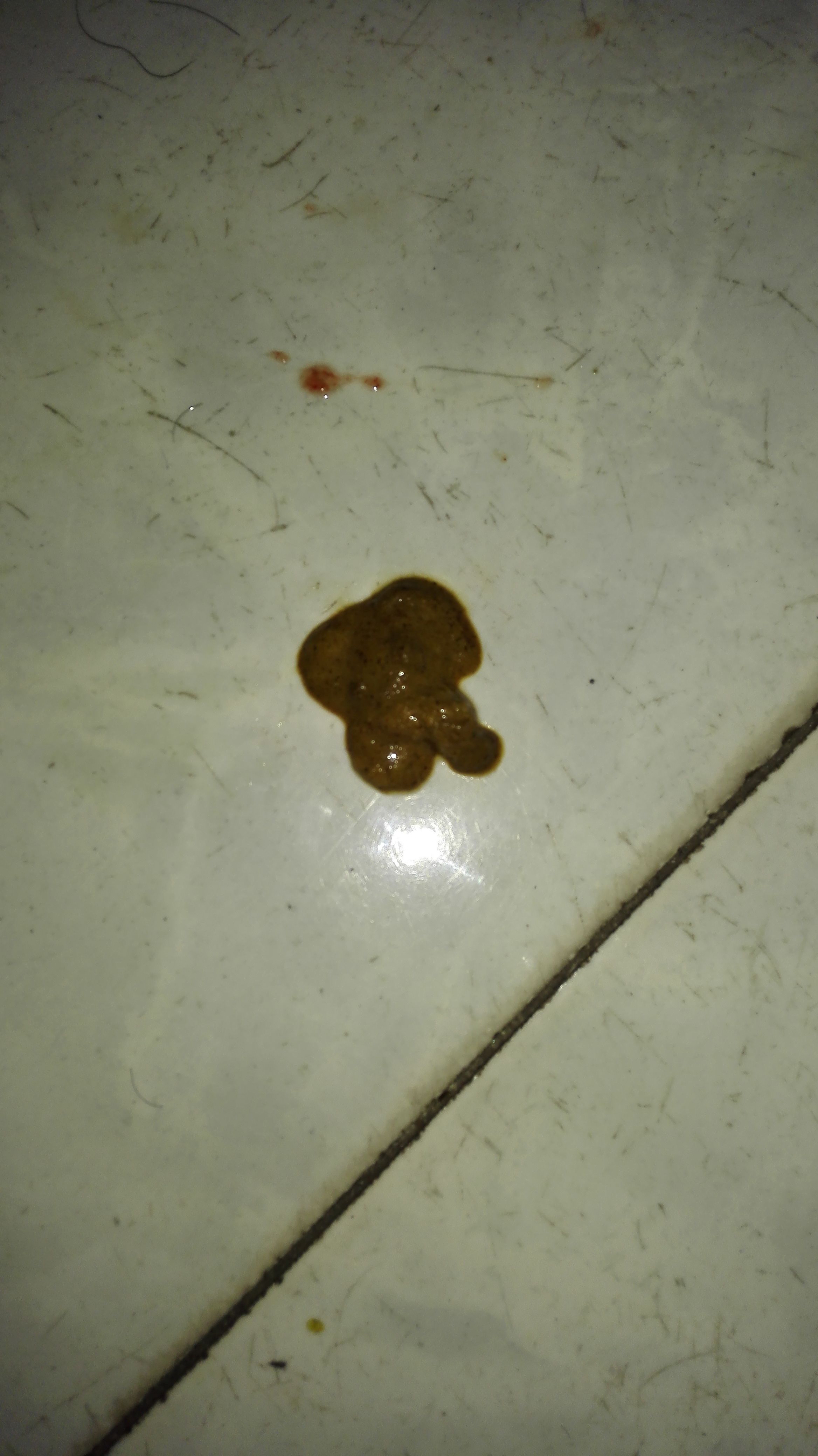 拉肚子带血