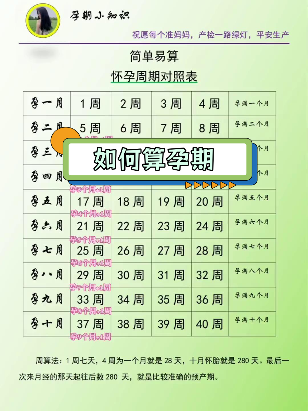 怀孕时间是从什么时候算起