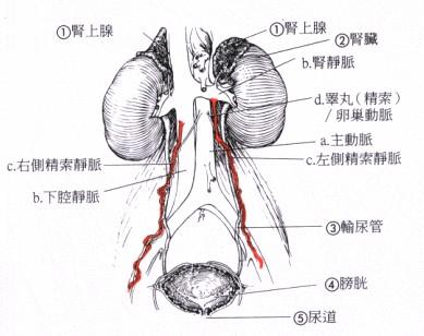 坚芳春 第3页