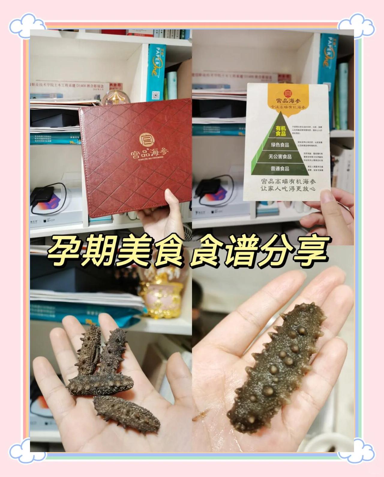 怀孕初期能吃海参吗