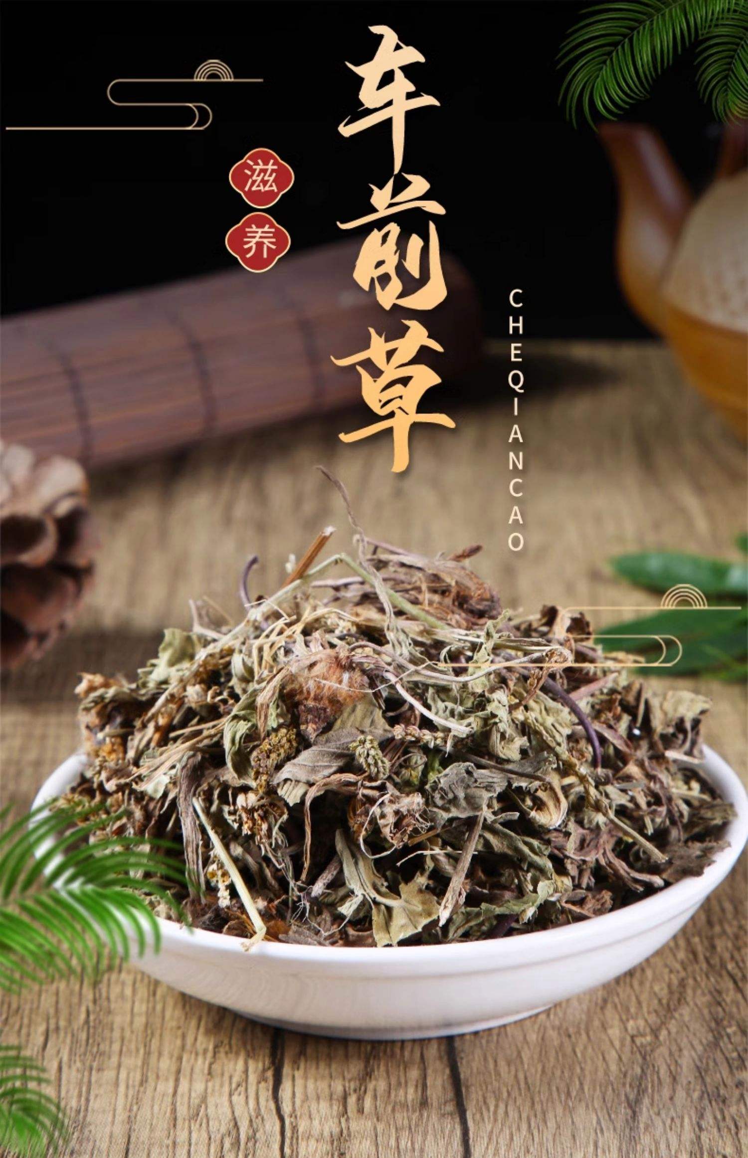 车前子的功效与作用