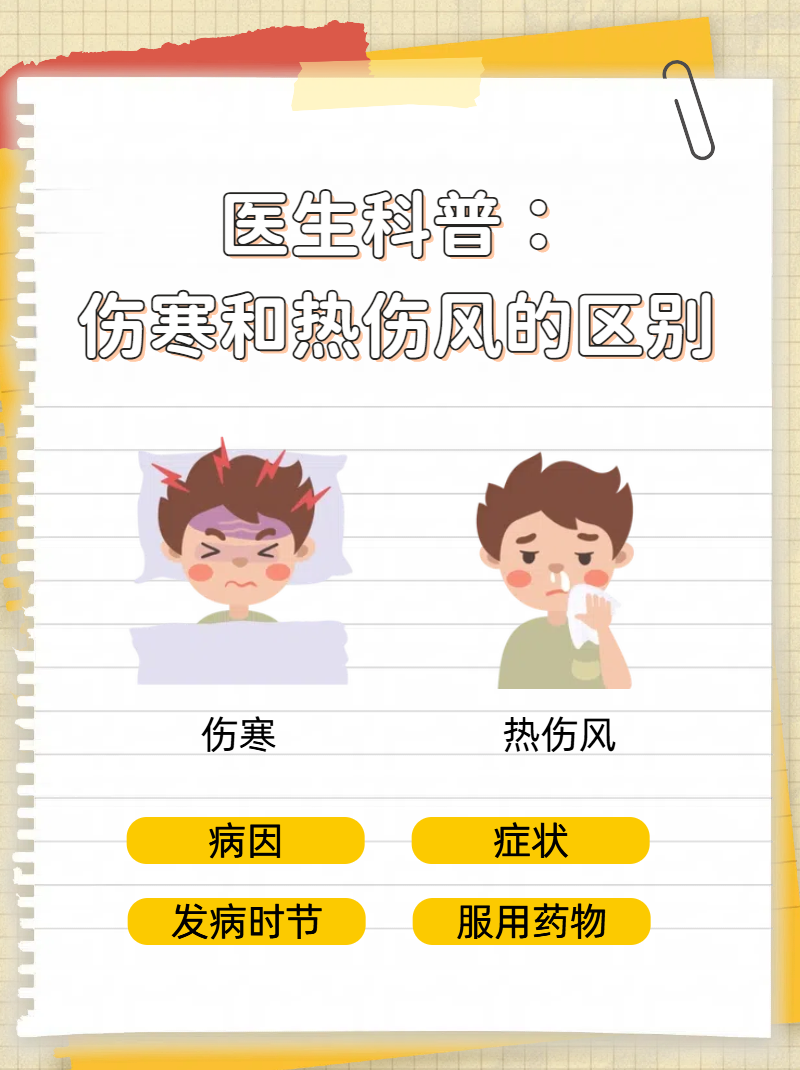 伤寒的症状是什么