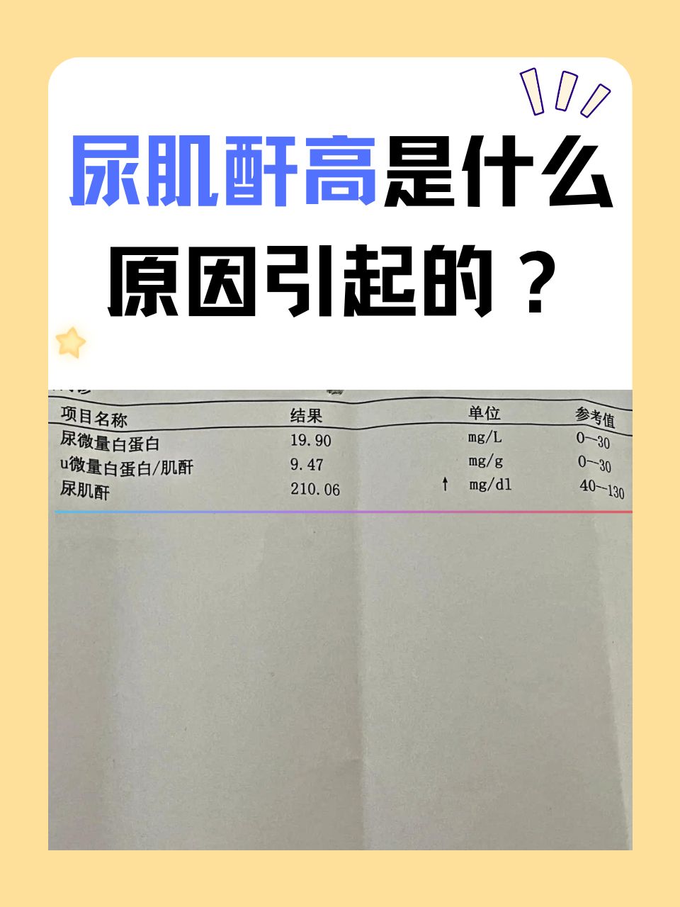 肌酐偏低可能是什么原因