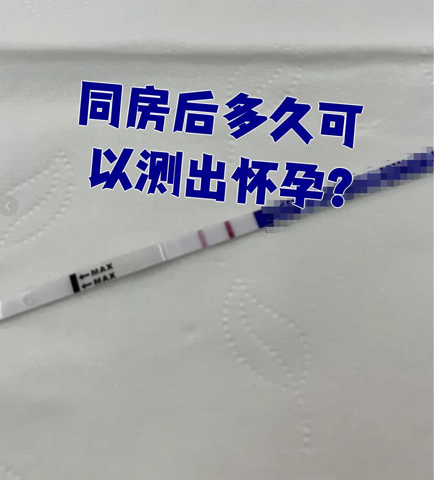 关向真 第2页