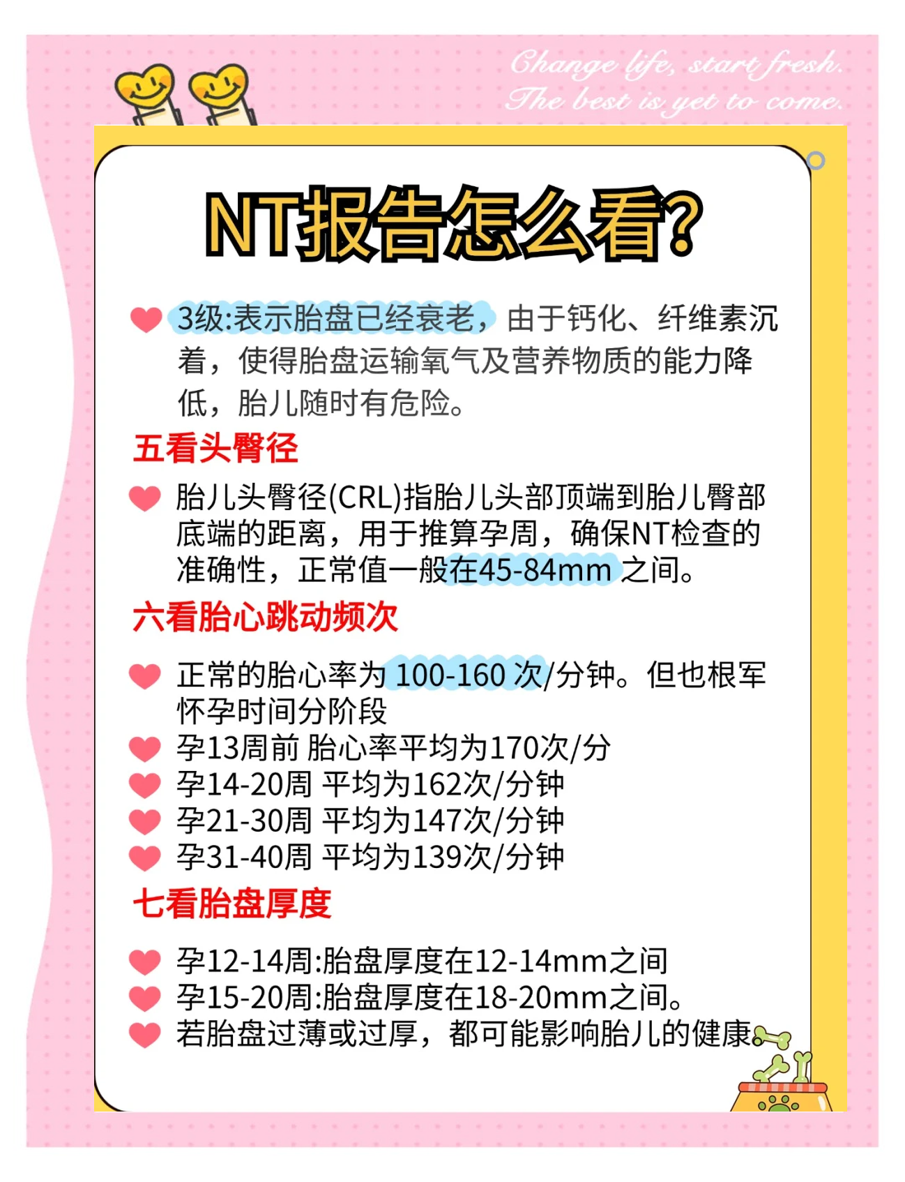 NT检查什么时候做好