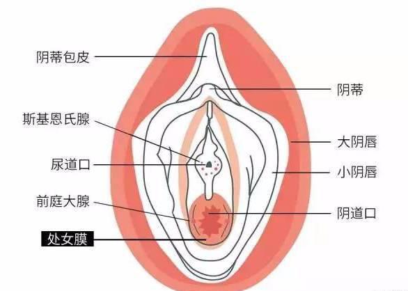 牟菊月 第3页