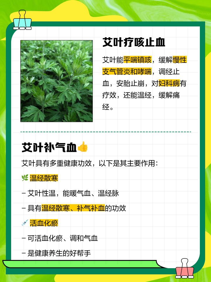 艾叶的作用有那些