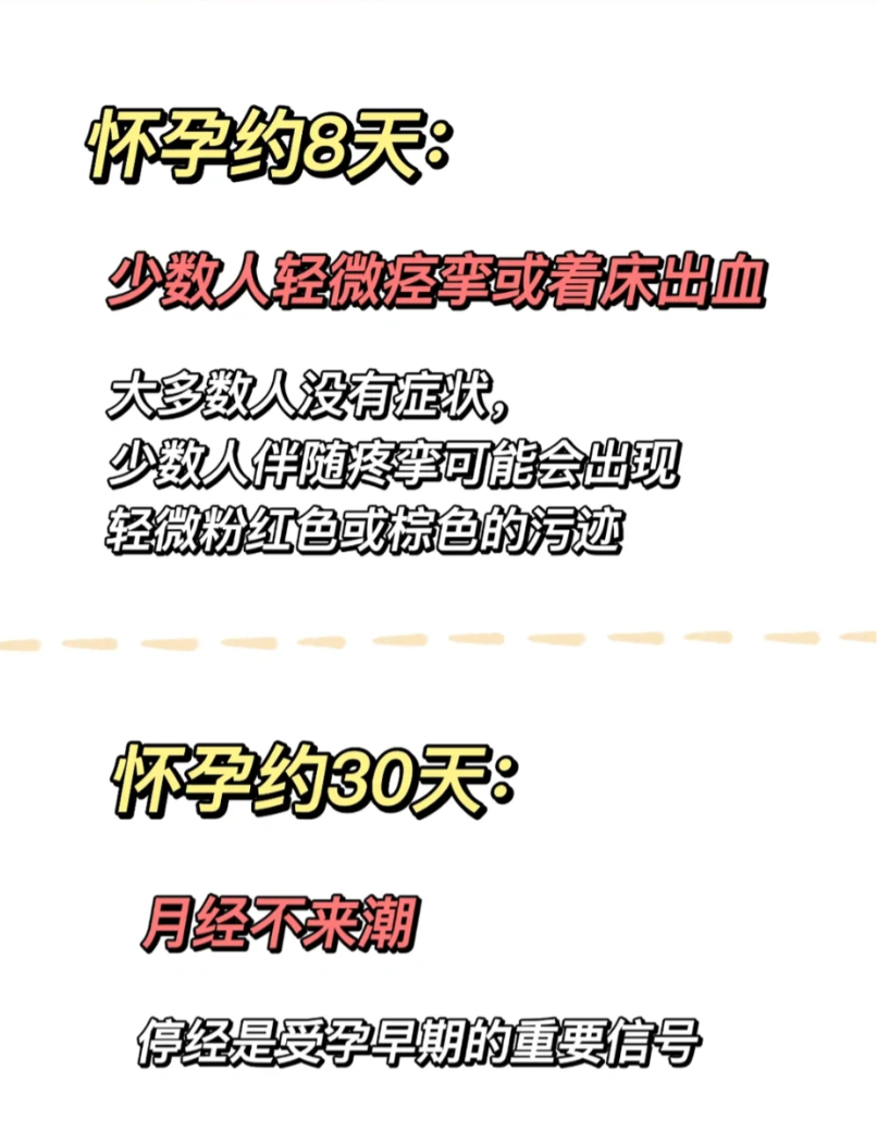 怀孕后多长时间有反应