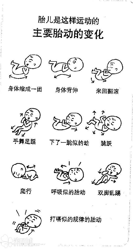 为什么胎动一直在左边动?一直都在左边