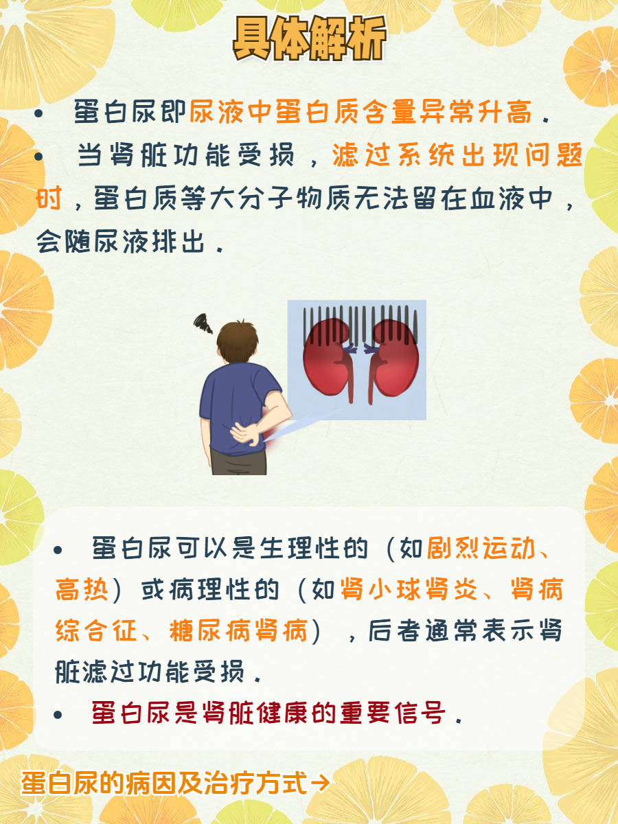 什么是蛋白尿?