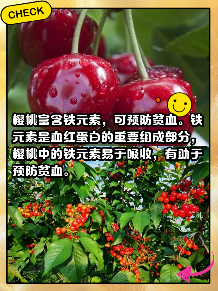来月经时可以吃橘子吗