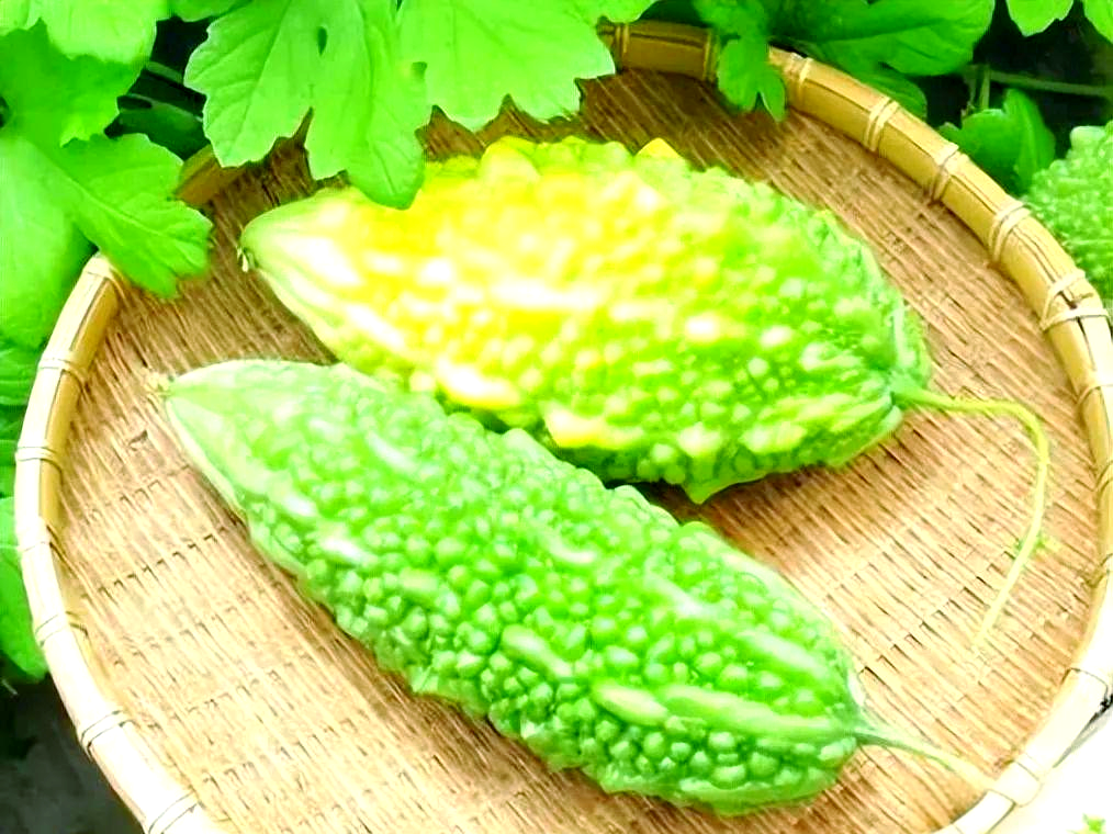 苦瓜的功效与作用与禁忌?
