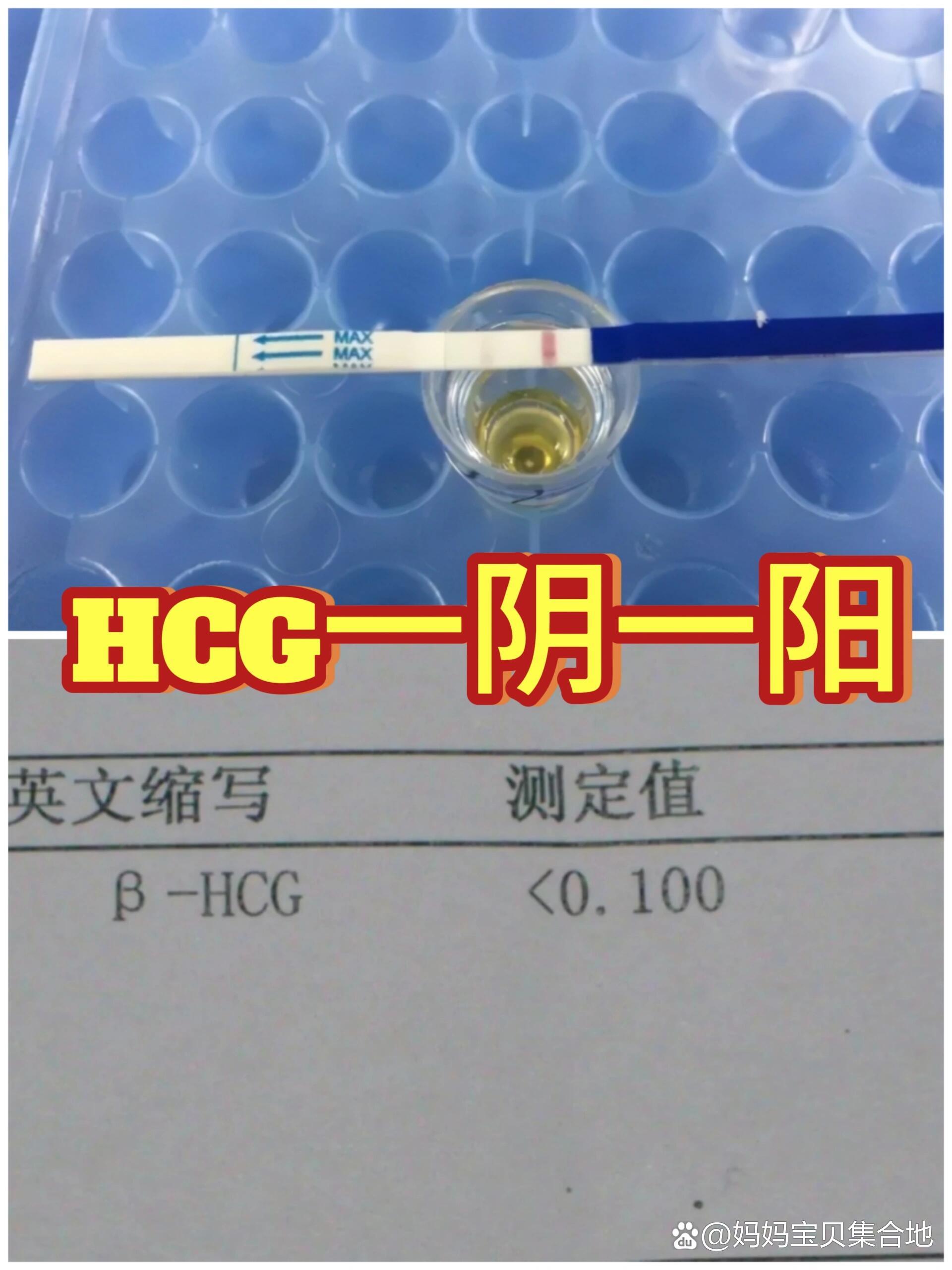 验孕棒显示阴性,是没怀孕吗?