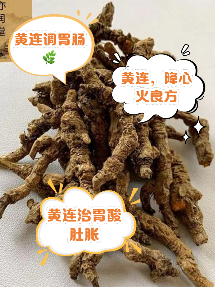 黄连上清片的功效与作用