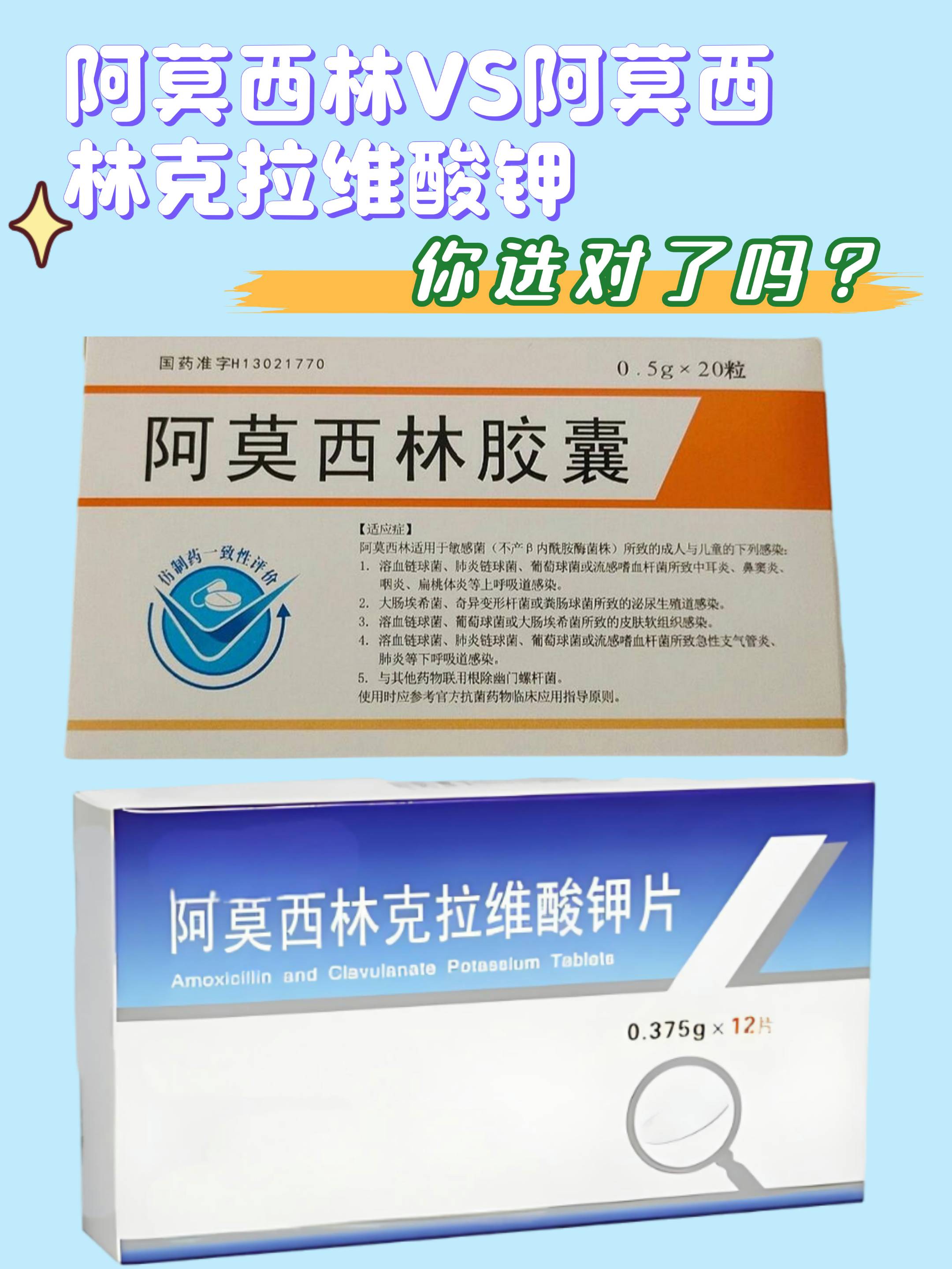 阿莫西林药的功能和用量?