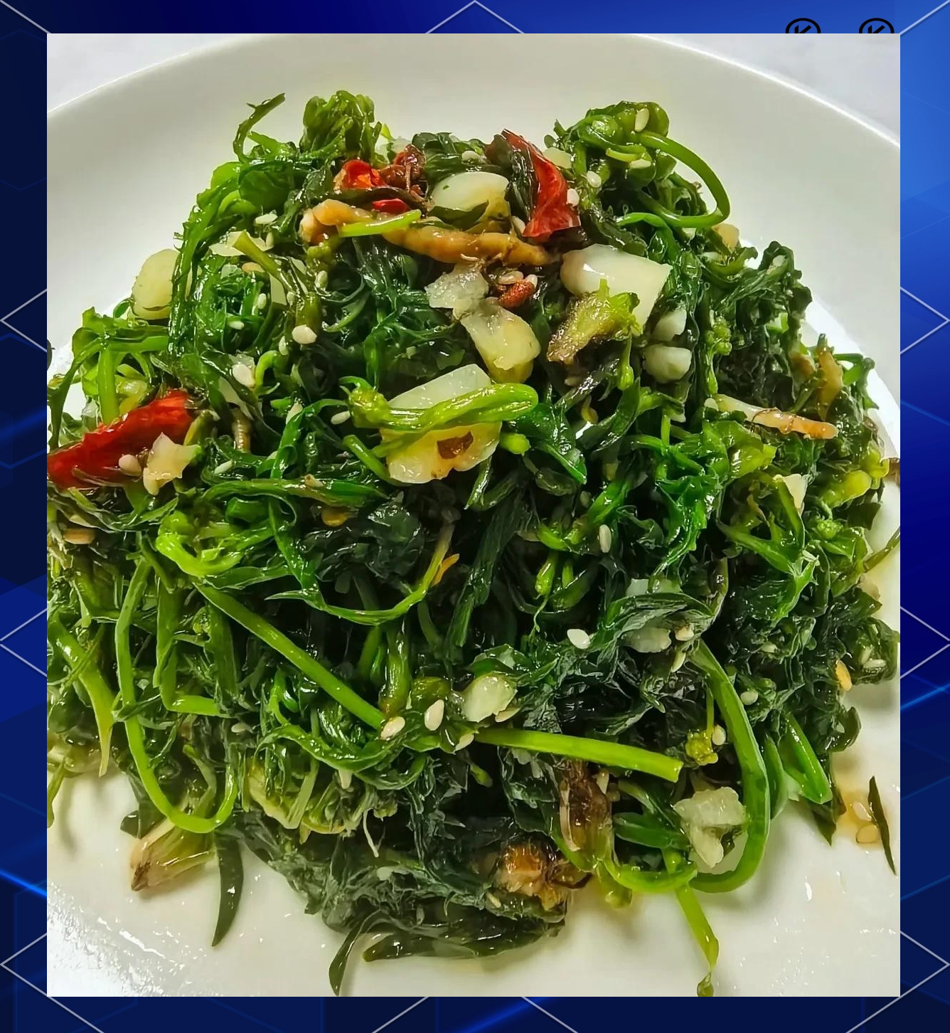第葛 第2页