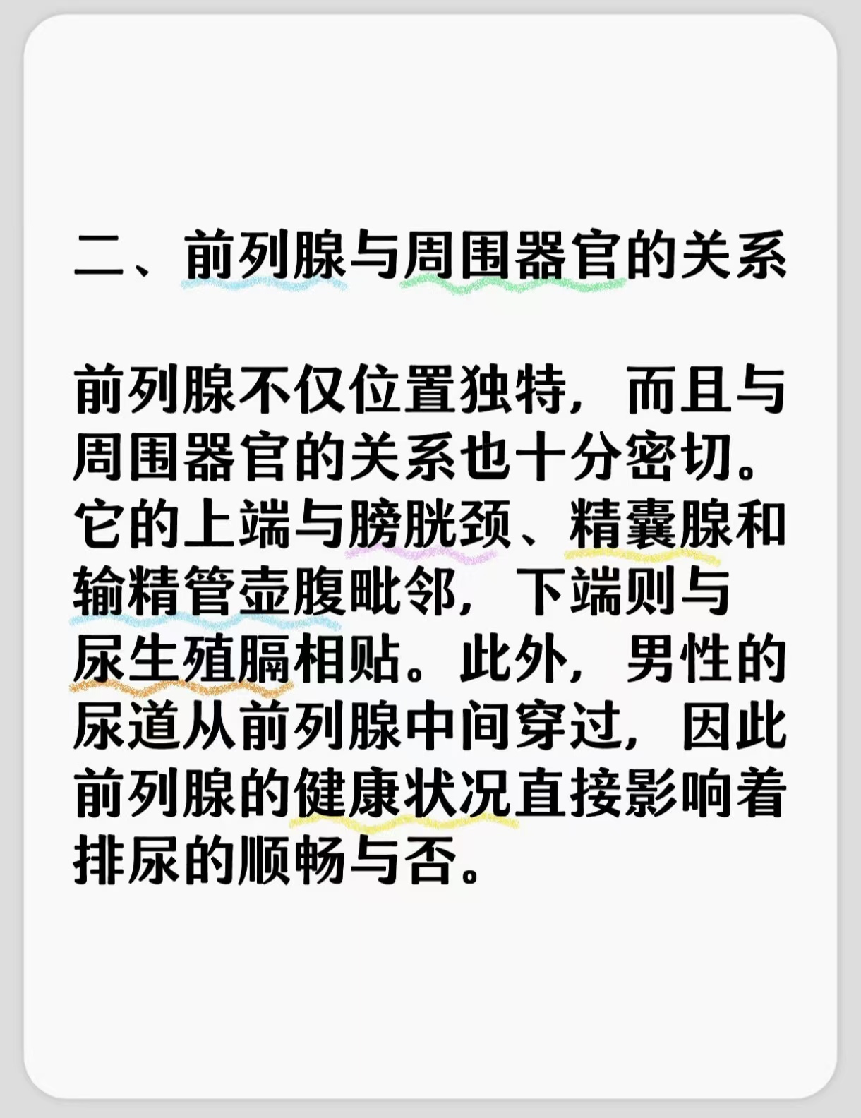 前列腺的位置及作用