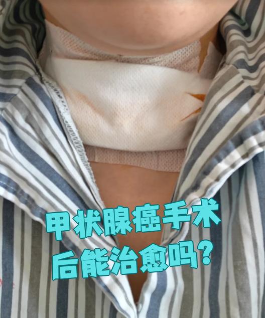 楚城 第3页