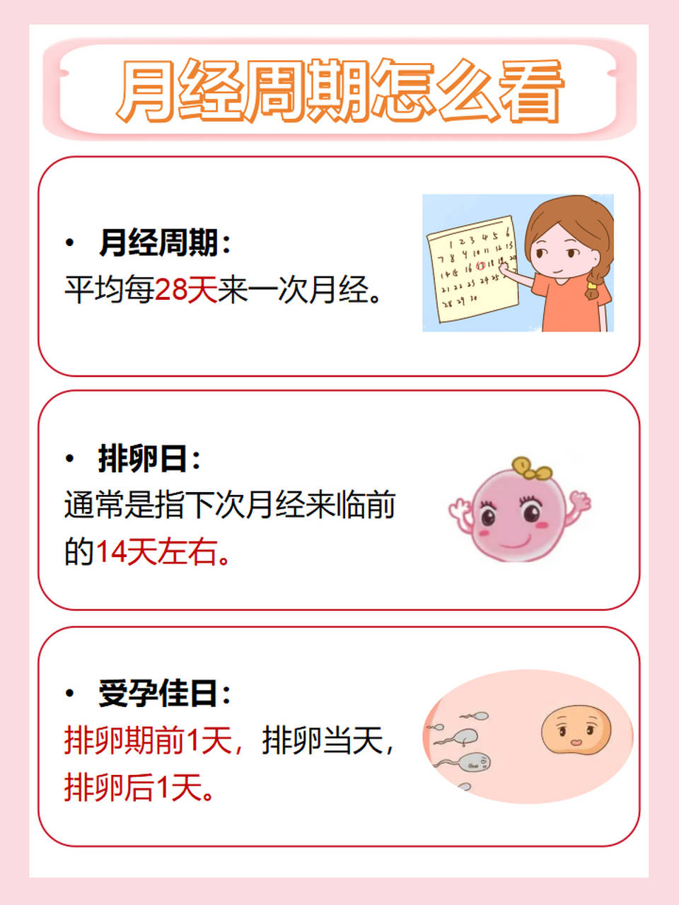 女性生理安全期计算