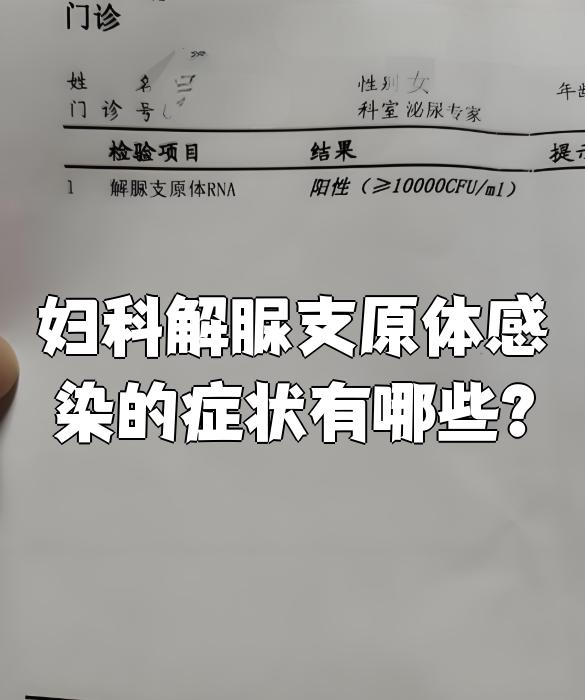 解脲支原体有什么症状?