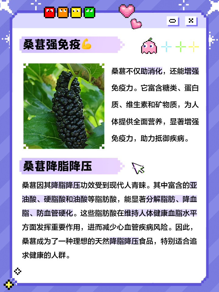 桑椹的功效与作用