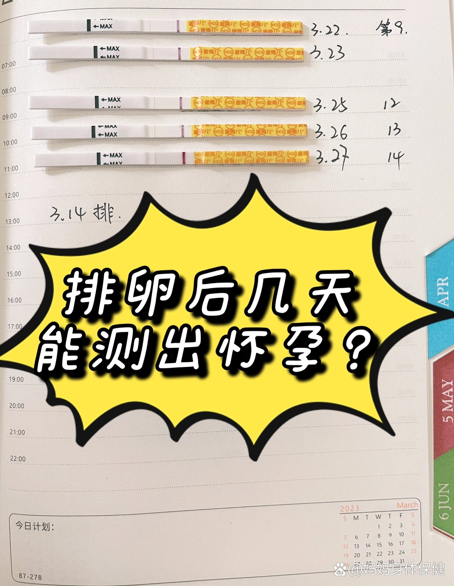 排卵期怀孕几率有多大?