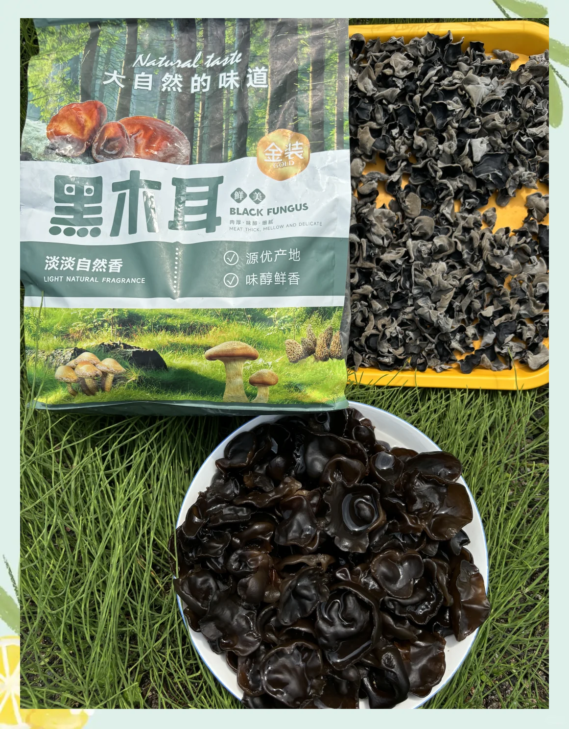 孕妇可以吃黑木耳吗?