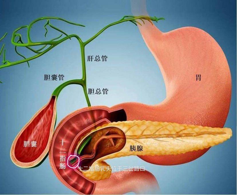 胰腺炎有哪些症状