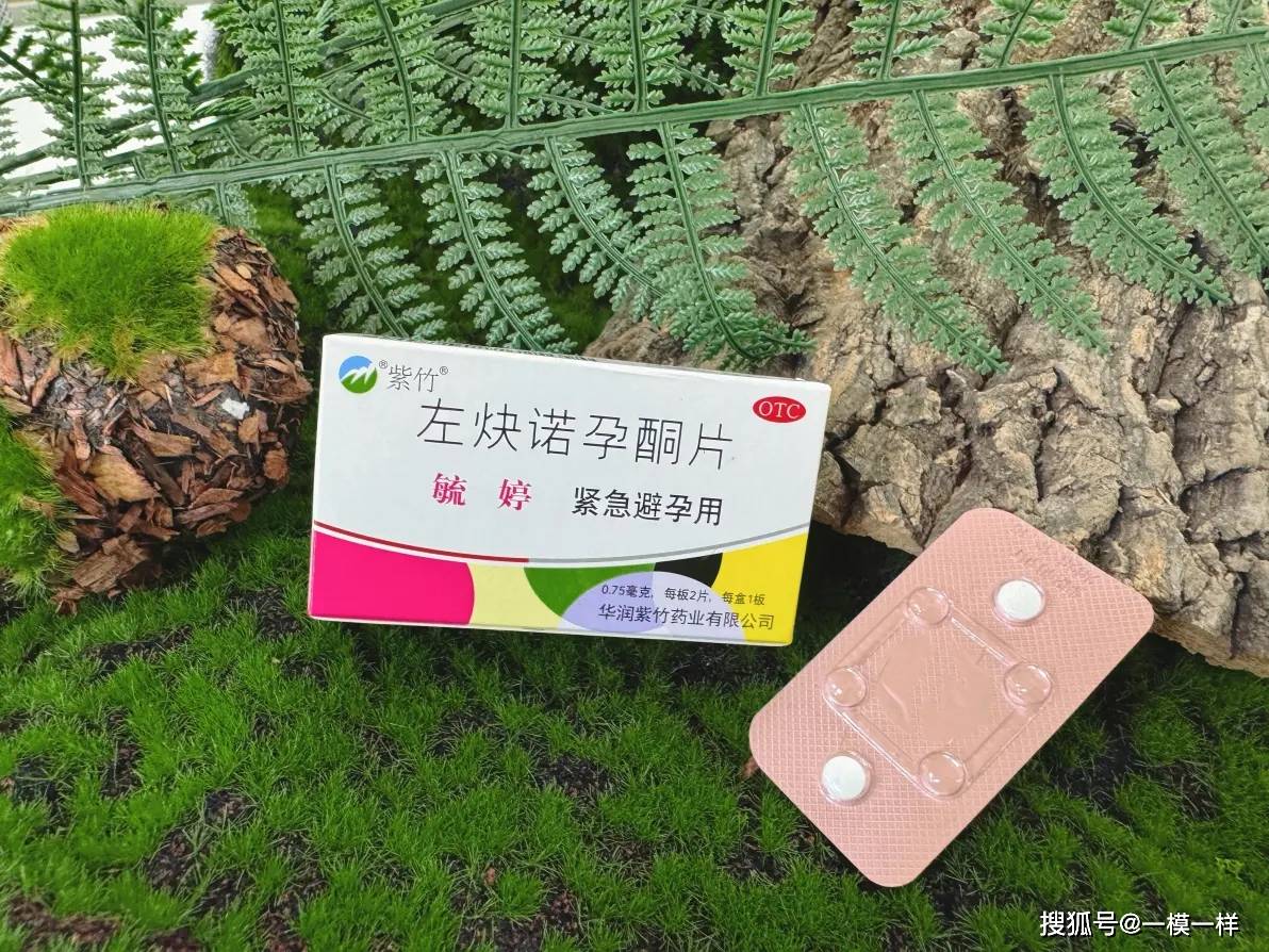 首诗柳 第3页