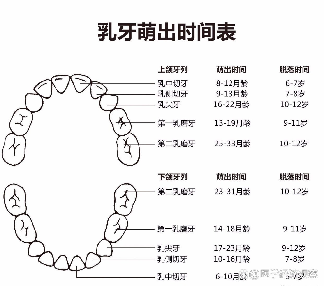 正常人多少颗牙齿