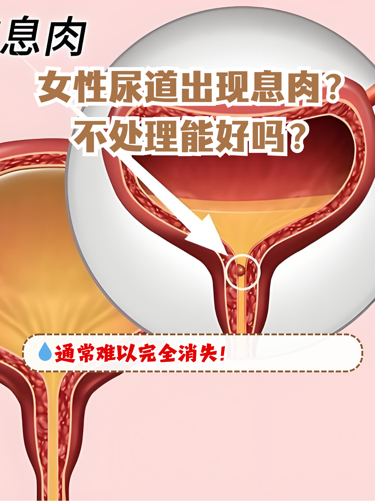 司空洮 第3页