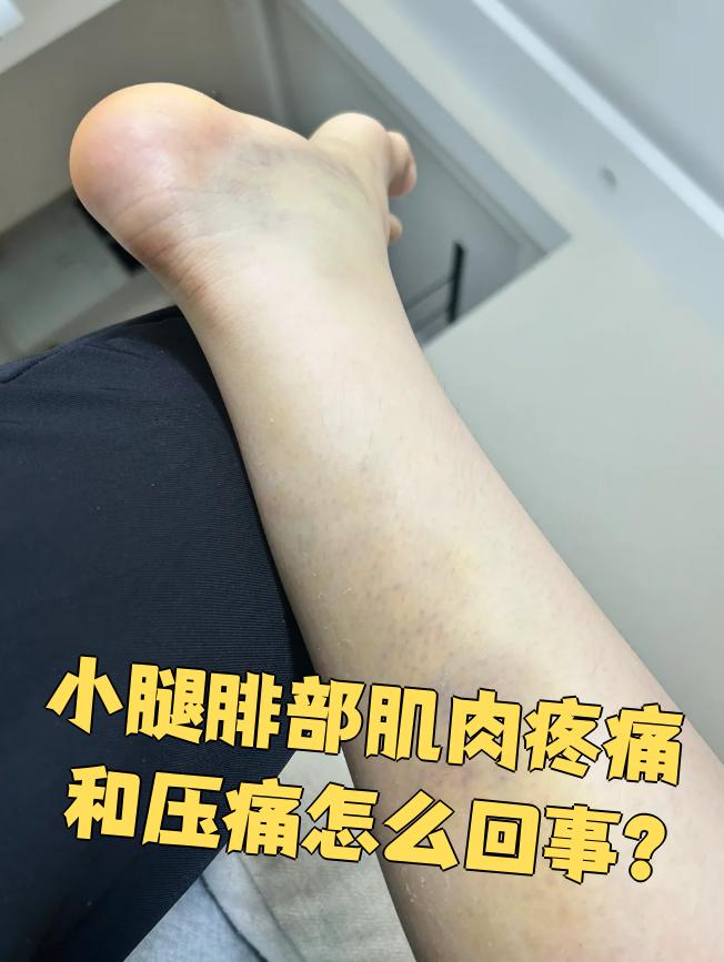 乙星火 第3页