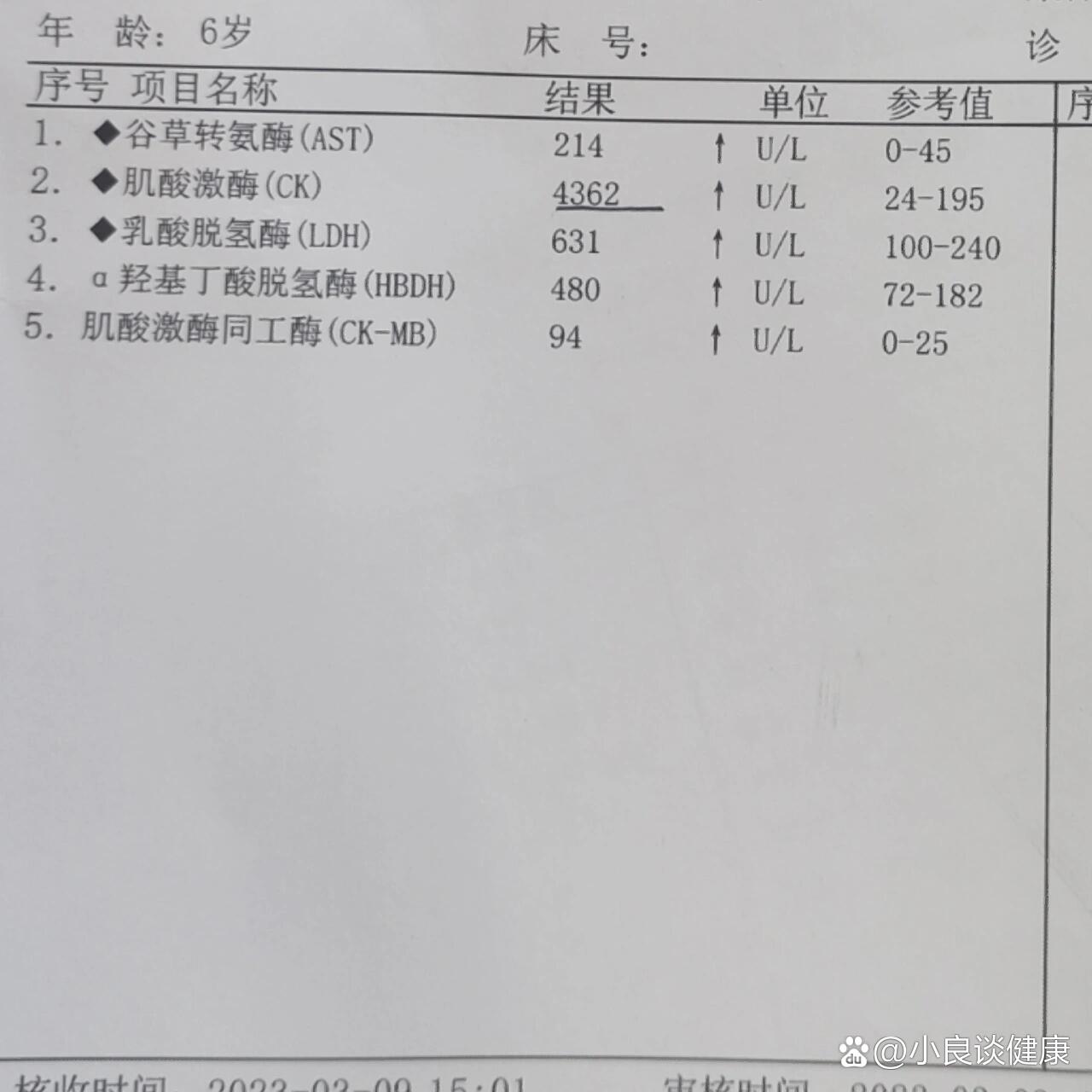 心肌酶检查多少钱