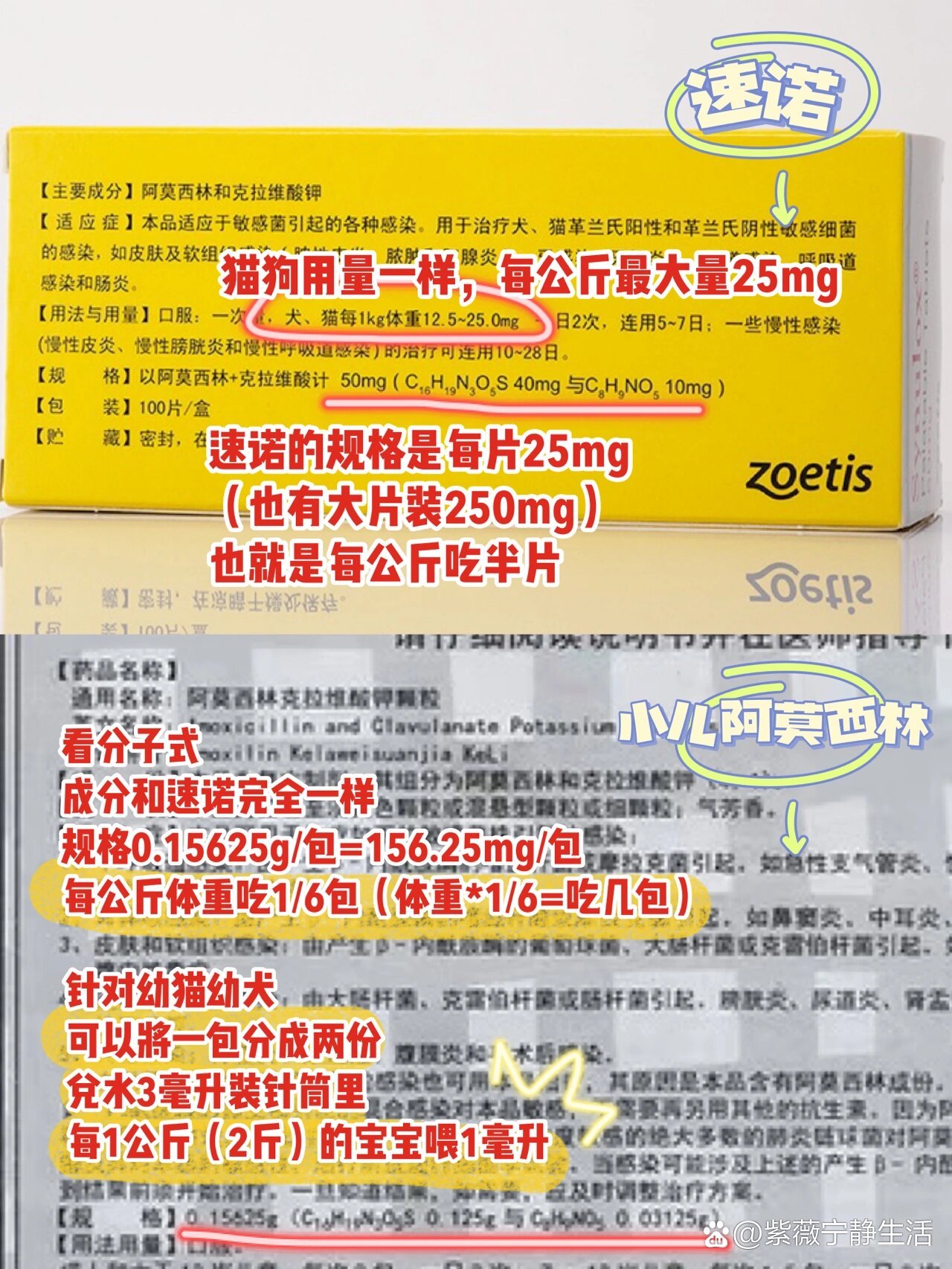 阿莫西林最多能吃几天
