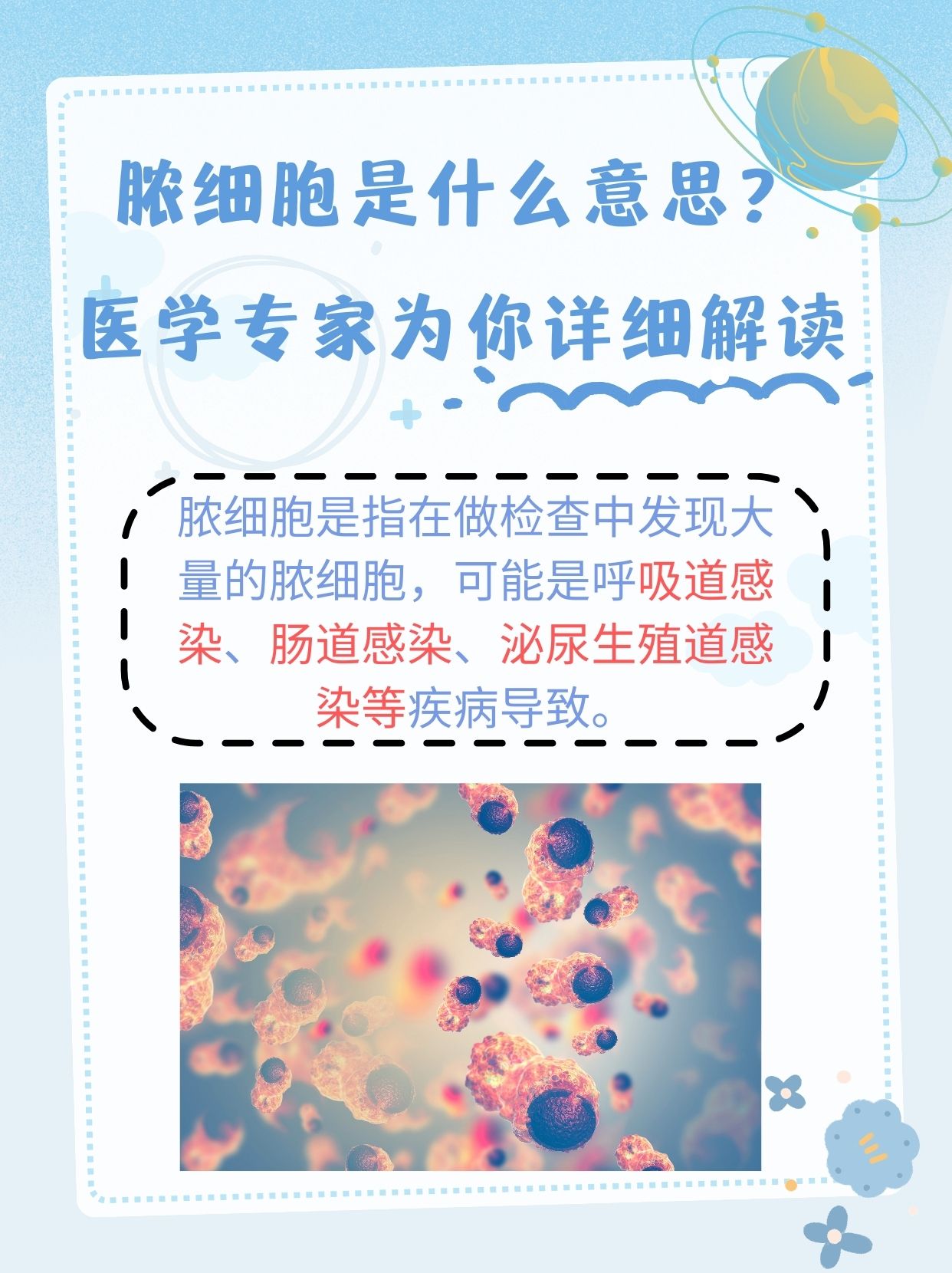 什么是中性粒细胞?