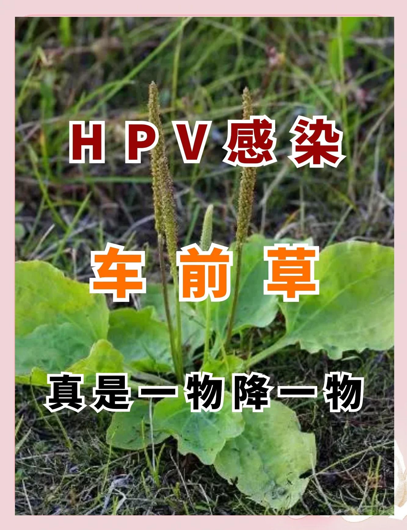 樊雁蓉 第2页