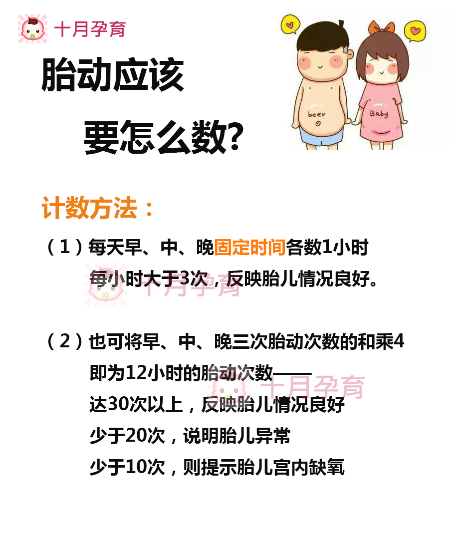 怎么数胎动