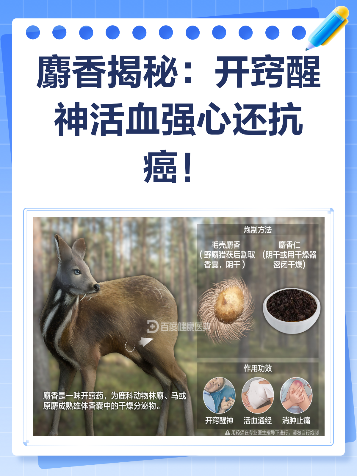 麝香的功效与作用