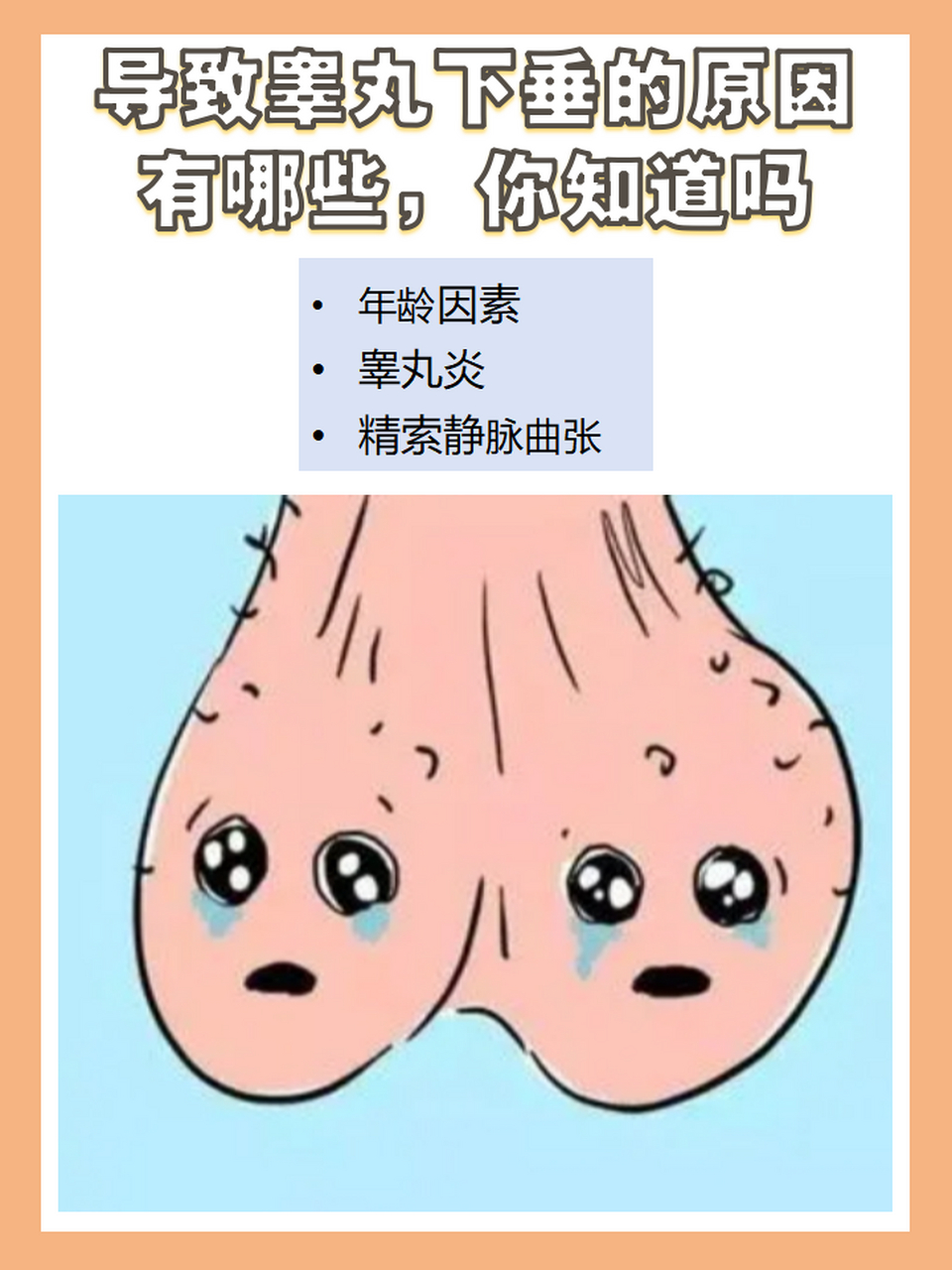 睾丸下垂正常吗