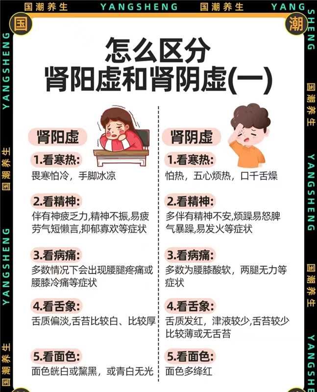 肾虚和脾虚有什么区别