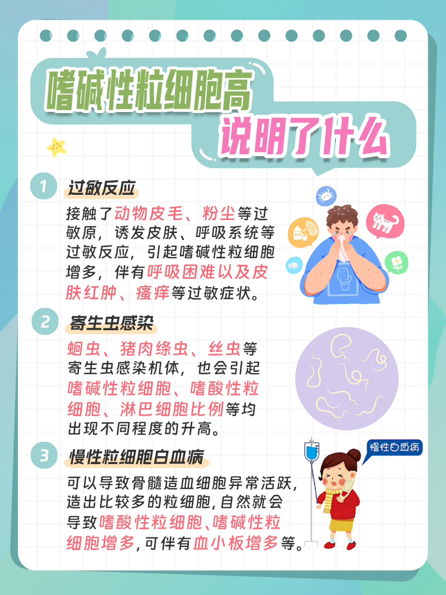 中性粒细胞高是什么原因