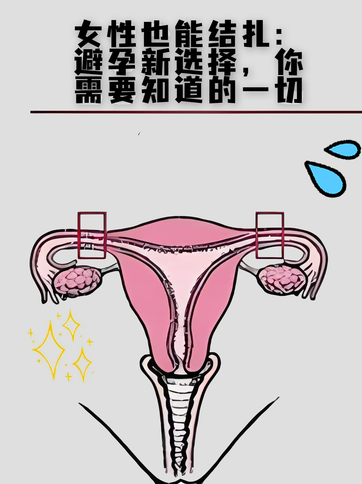 曾令婧 第2页