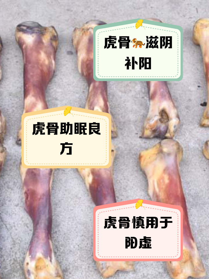 虎骨的药用