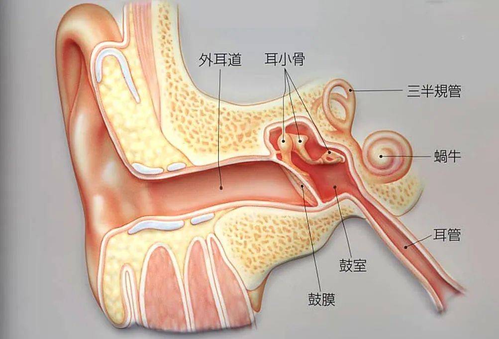分泌性中耳炎怎么治疗好