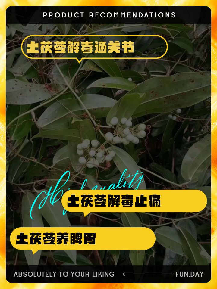 土茯苓的功效与作用
